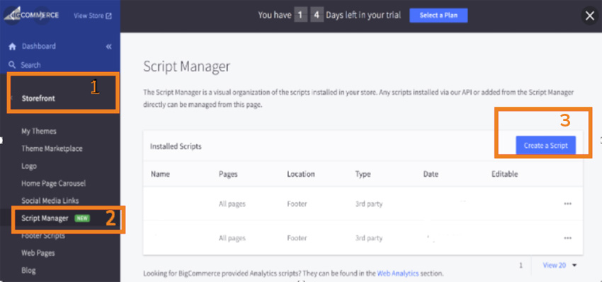Script manager screenshot from BigCommerce