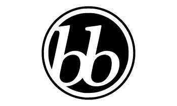 bbPress Website Accessibility Widget