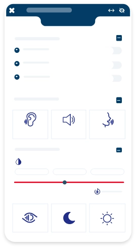 Image of accessibility widget