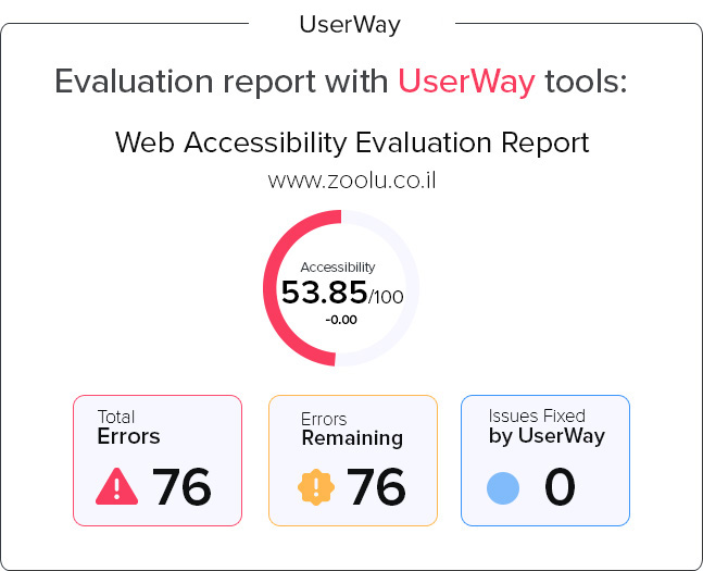 Evaluation report with userway tools