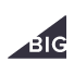 Big LOGO