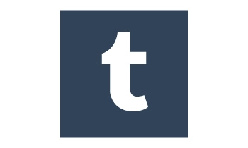 Tumblr Website Accessibility Widget