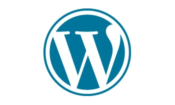 WordPress Website Accessibility Plugin