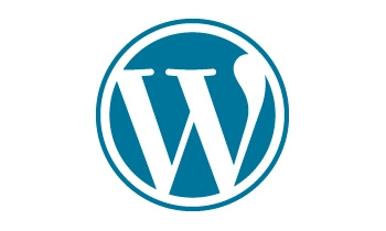 WordPress Accessibility Plugin